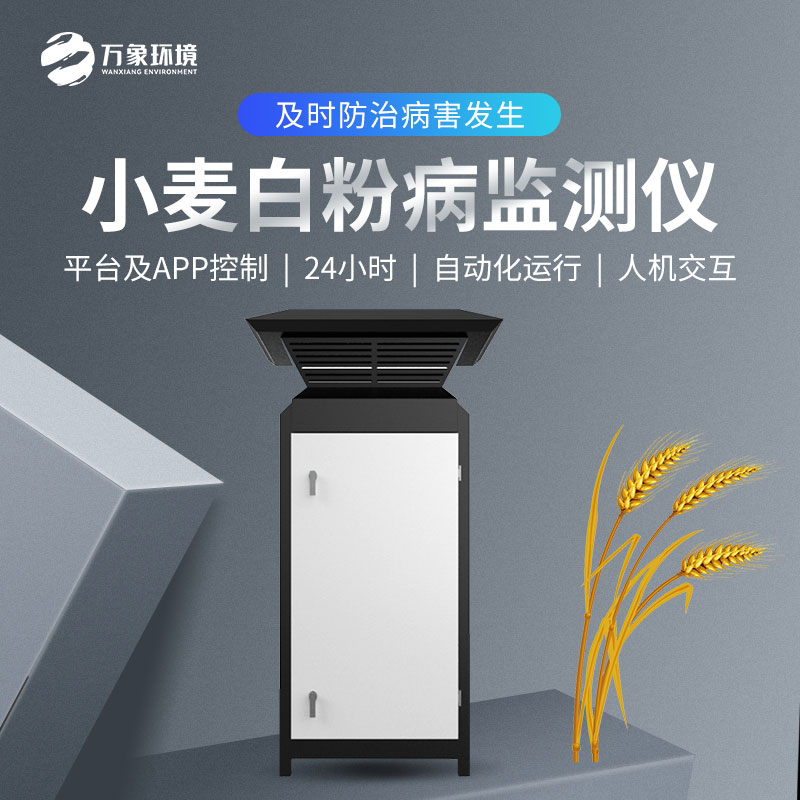 白粉病監測儀如何防治小麥病害？