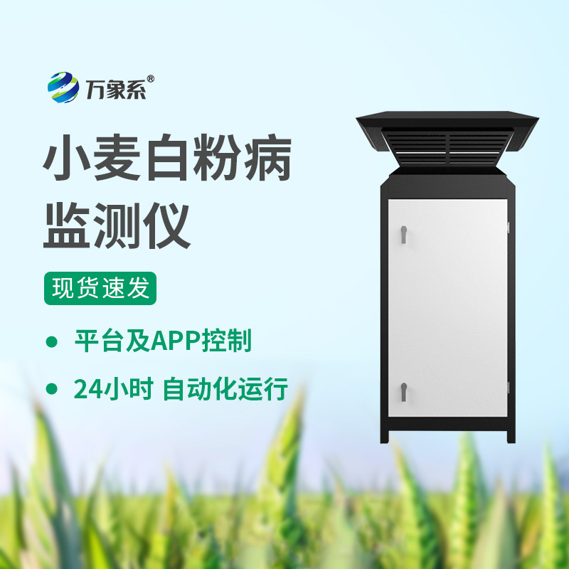 小麥白粉病監測儀：精準預警病害，守護小麥豐產增收